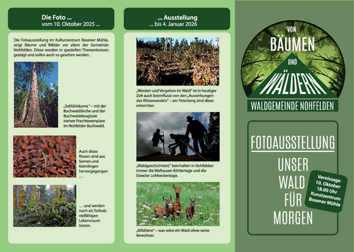 Informationsflyer zur Ausstellung Von Bäumen und Wäldern Außenseite